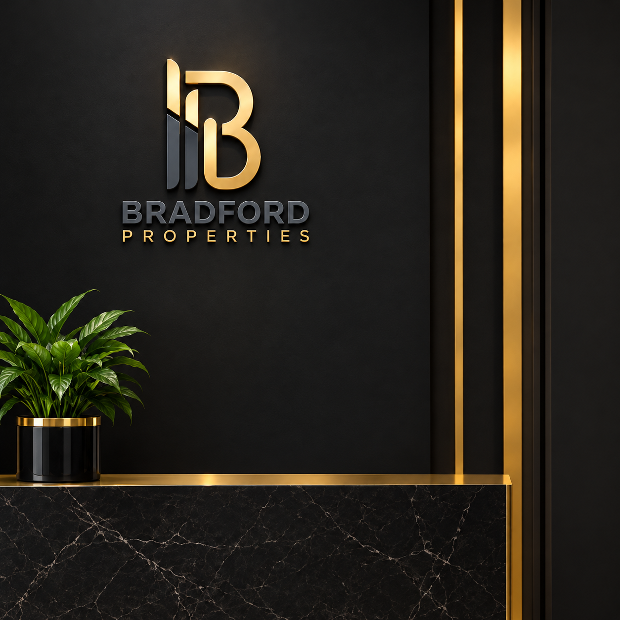 Naser Mohamed - رئيس قسم الاستثمار الدولي في Bradford Properties